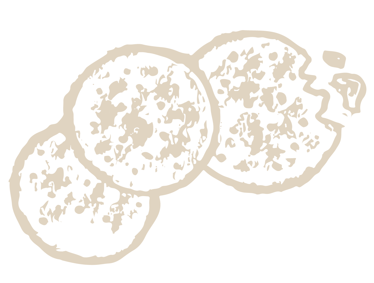 A drawing of three cookies on a white background.