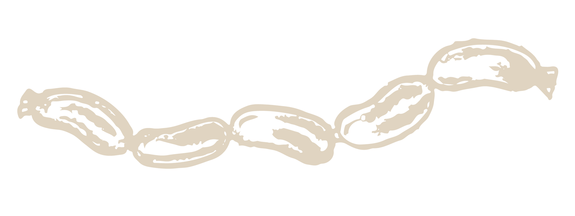 A drawing of a string of sausages on a white background.
