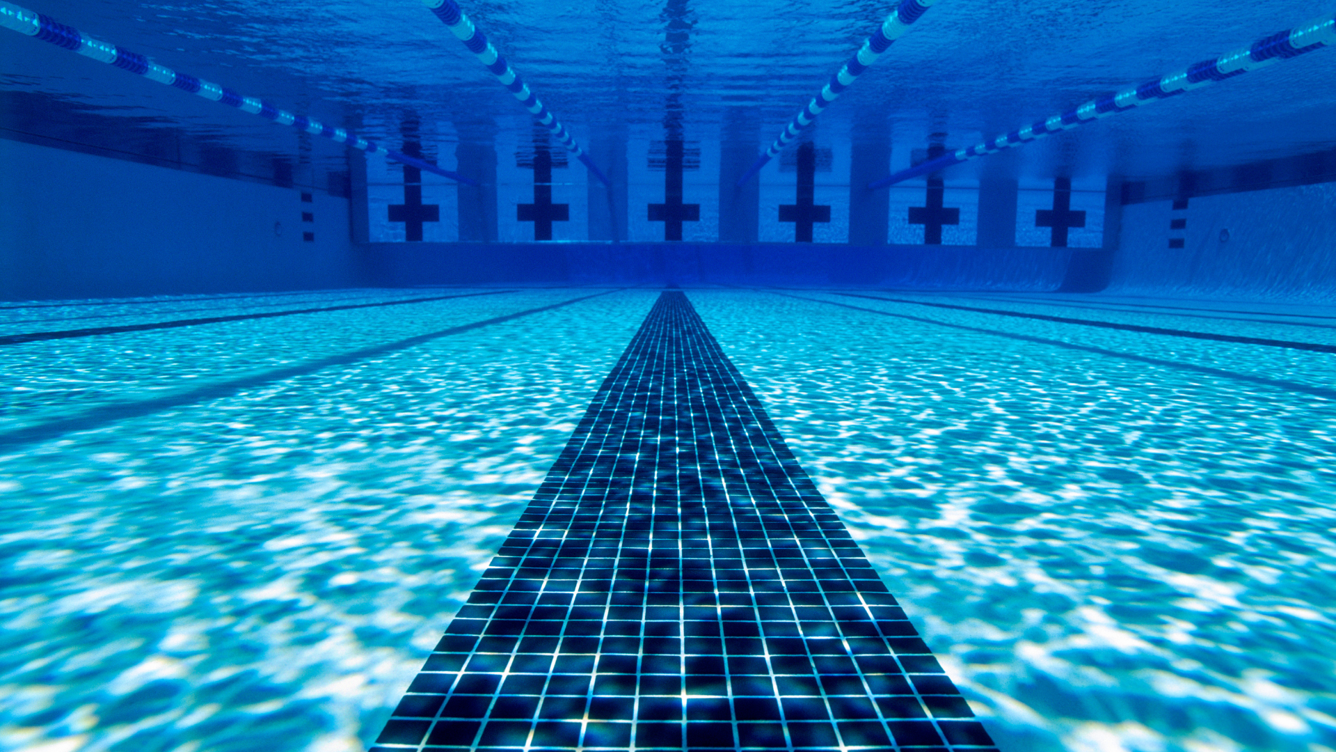 Lancy Natation - Inscriptions et tarifs
