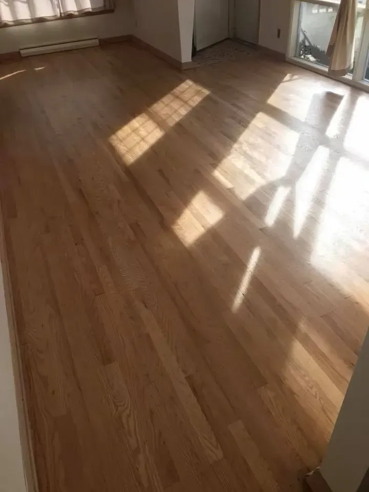 Hardwood floor with sun shining through a window, creating shadows.