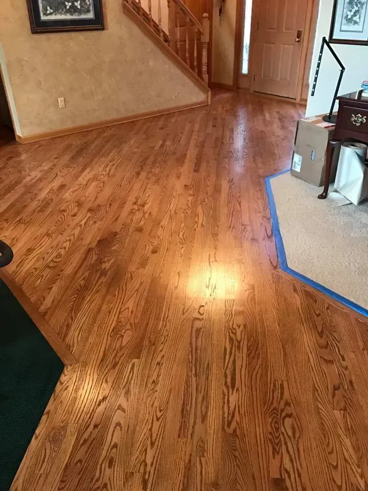 Hardwood floors in a home, transitioning to carpeted area.