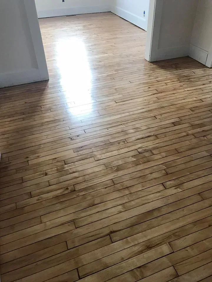 Wood floor, with bright reflection. Light brown planks, in a room with white doorways.