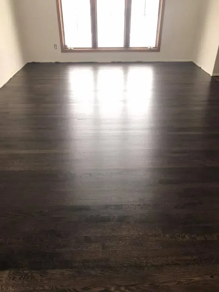 Dark-stained hardwood floor reflecting bright sunlight from a large window.