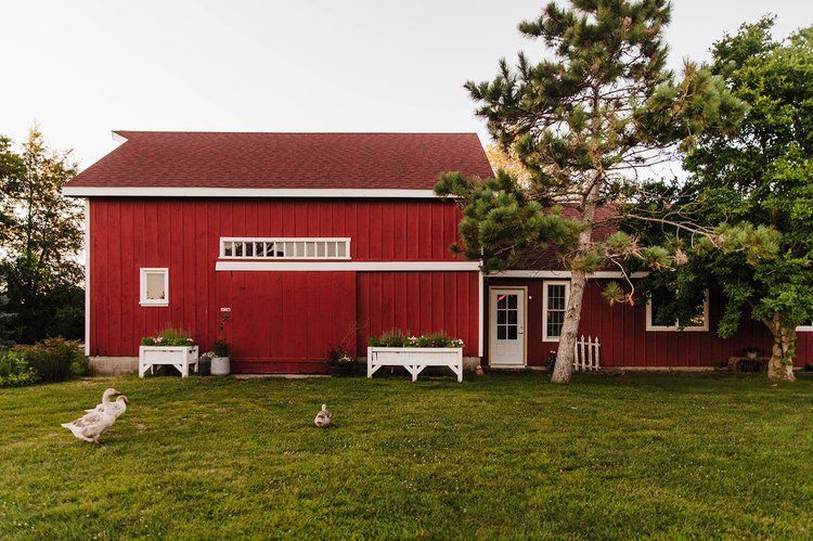 A red barn with a white door is surrounded by grass and trees