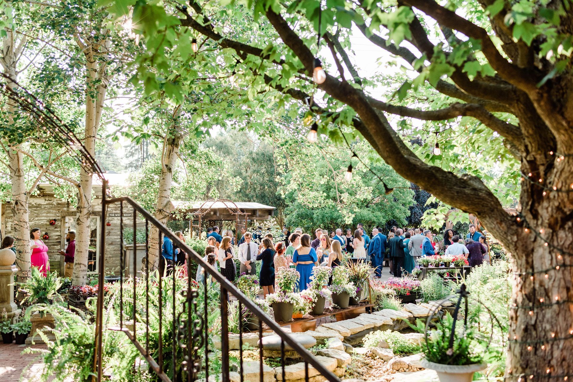 A large group of people are standing under a tree at a wedding reception.