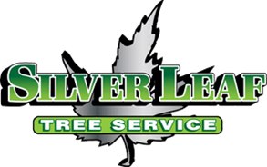 SilverLeaf Tree Service SilverLeaf Tree Service