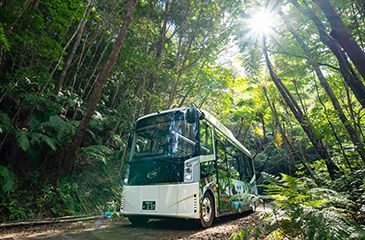 EVバス「やんばる黄金号」