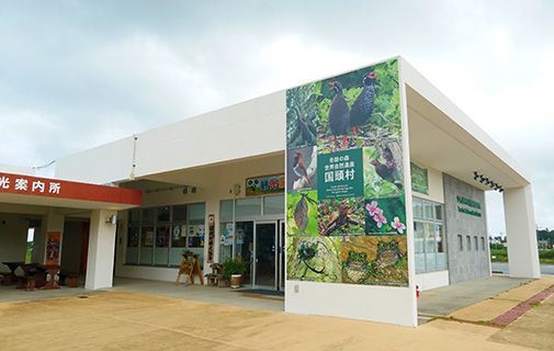 道の駅ゆいゆい国頭の敷地内にある国頭村観光協会