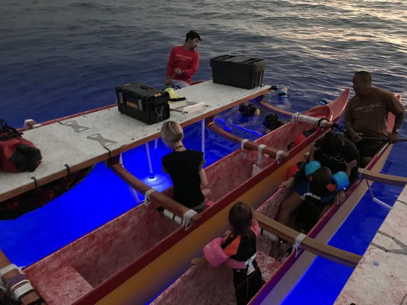 People in a boat, illuminated with blue lights, on the water at night.