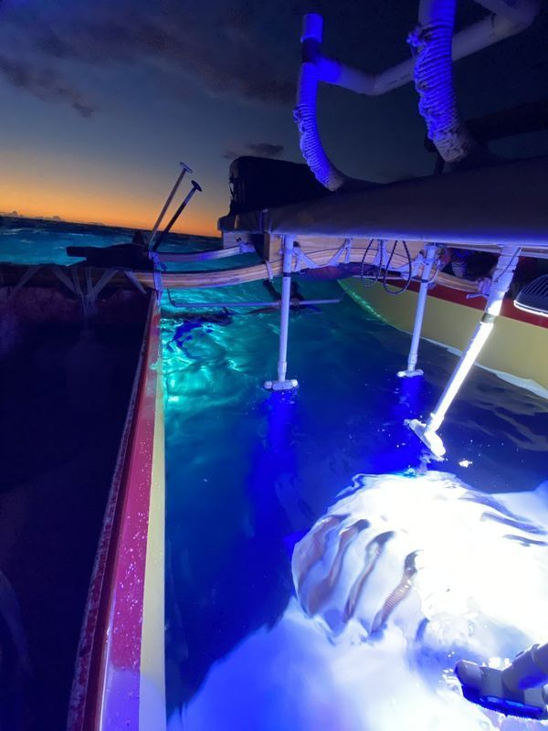 Nighttime manta ray encounter in Kona Hawaii