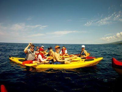People in yellow kayaks on a blue ocean under a clear sky, near a landmass.