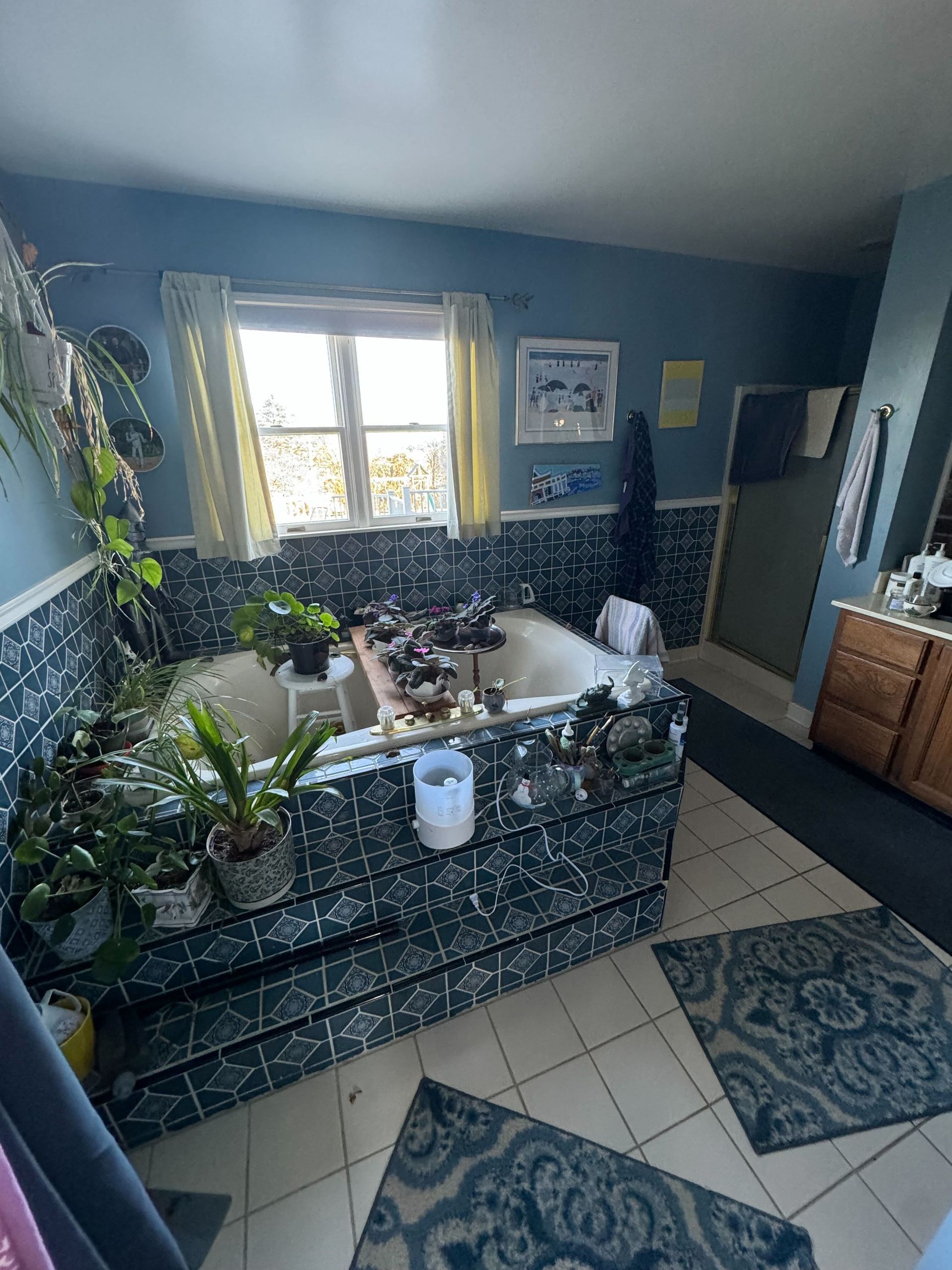 Renovating Kitchen