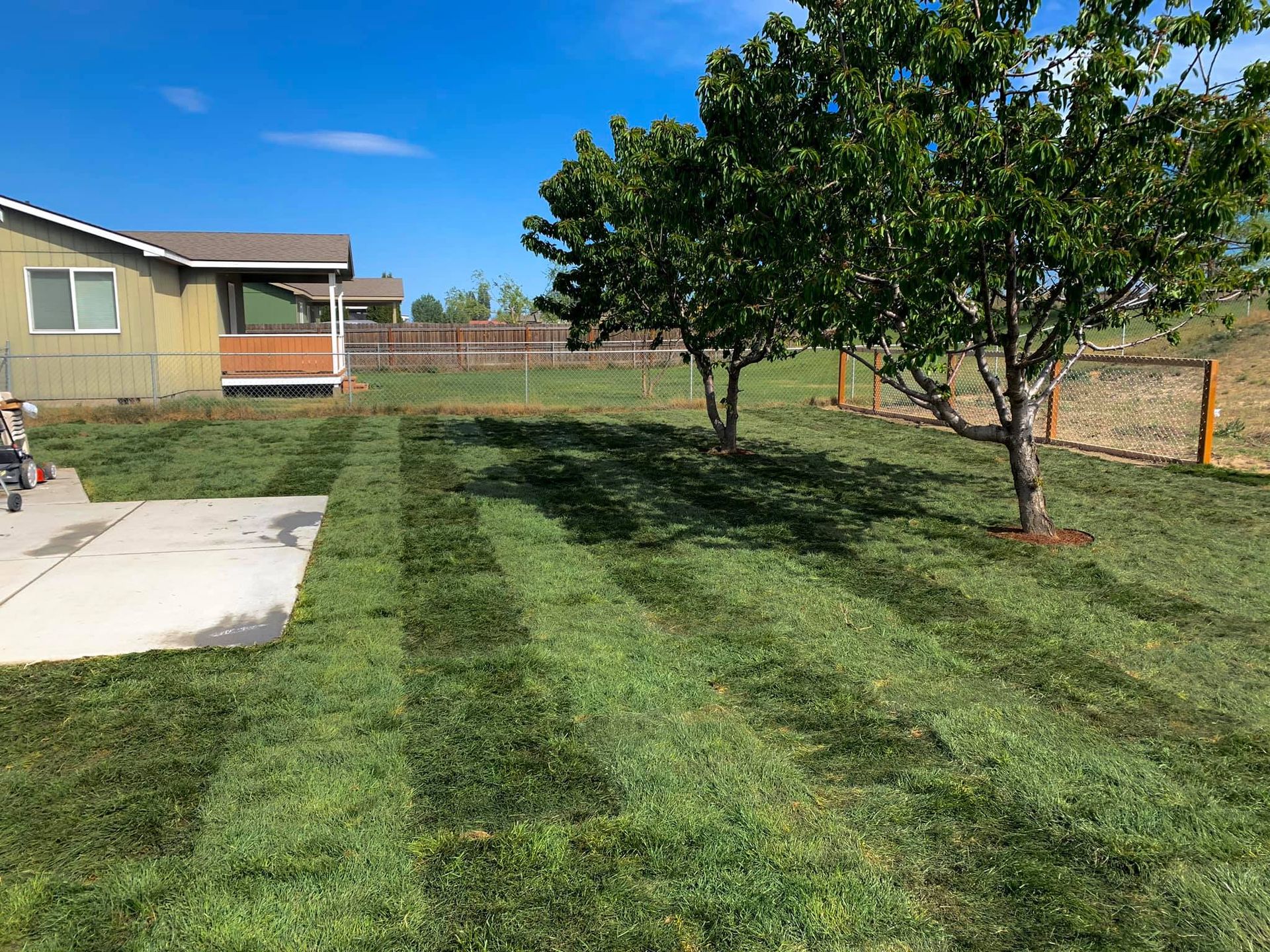 Freshly mown lawn with striped patterns.