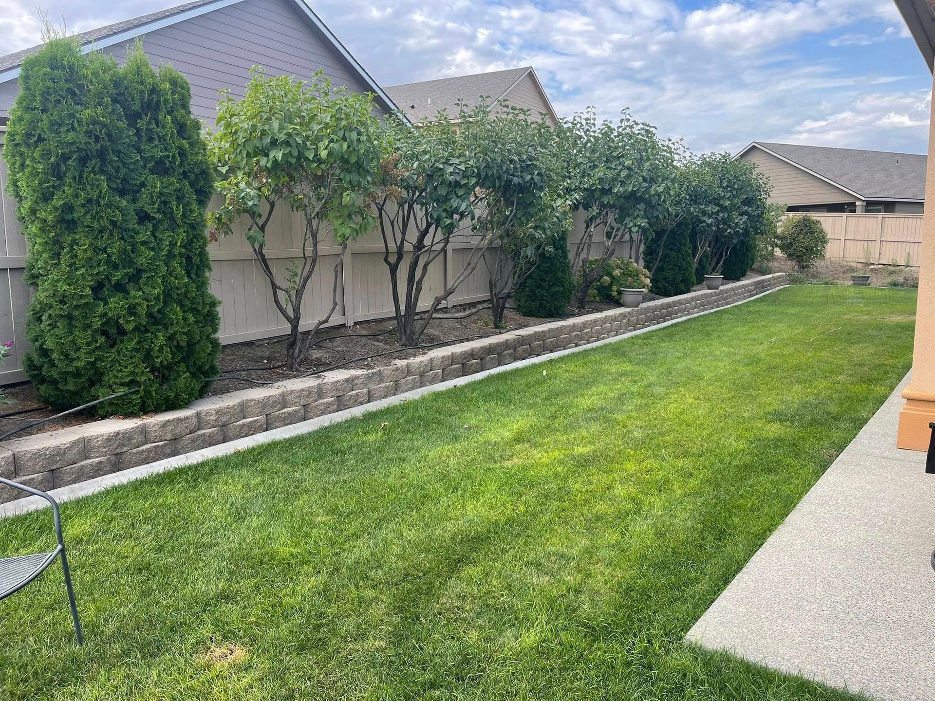 A backyard view featuring a green lawn.