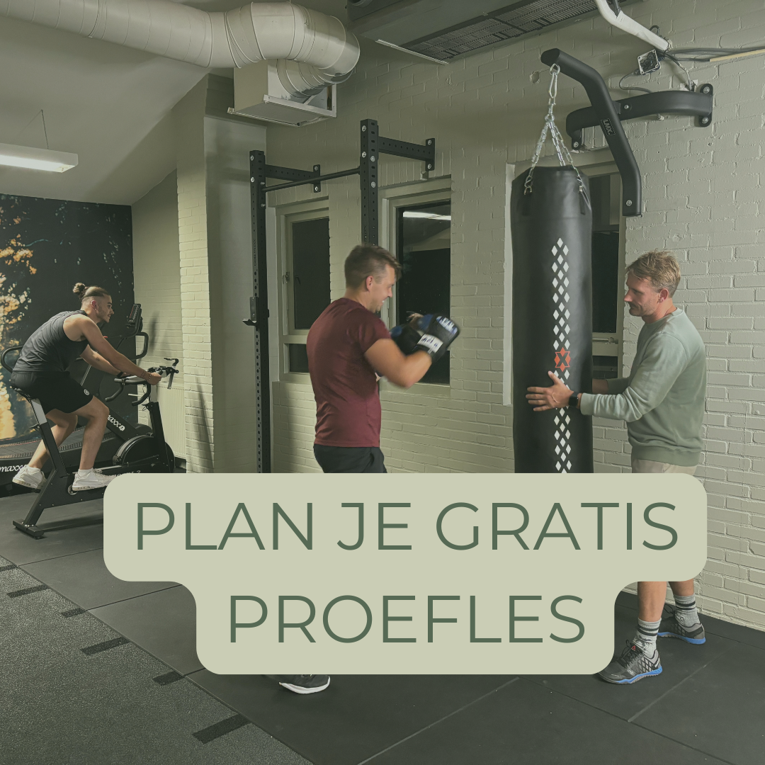 proefles
