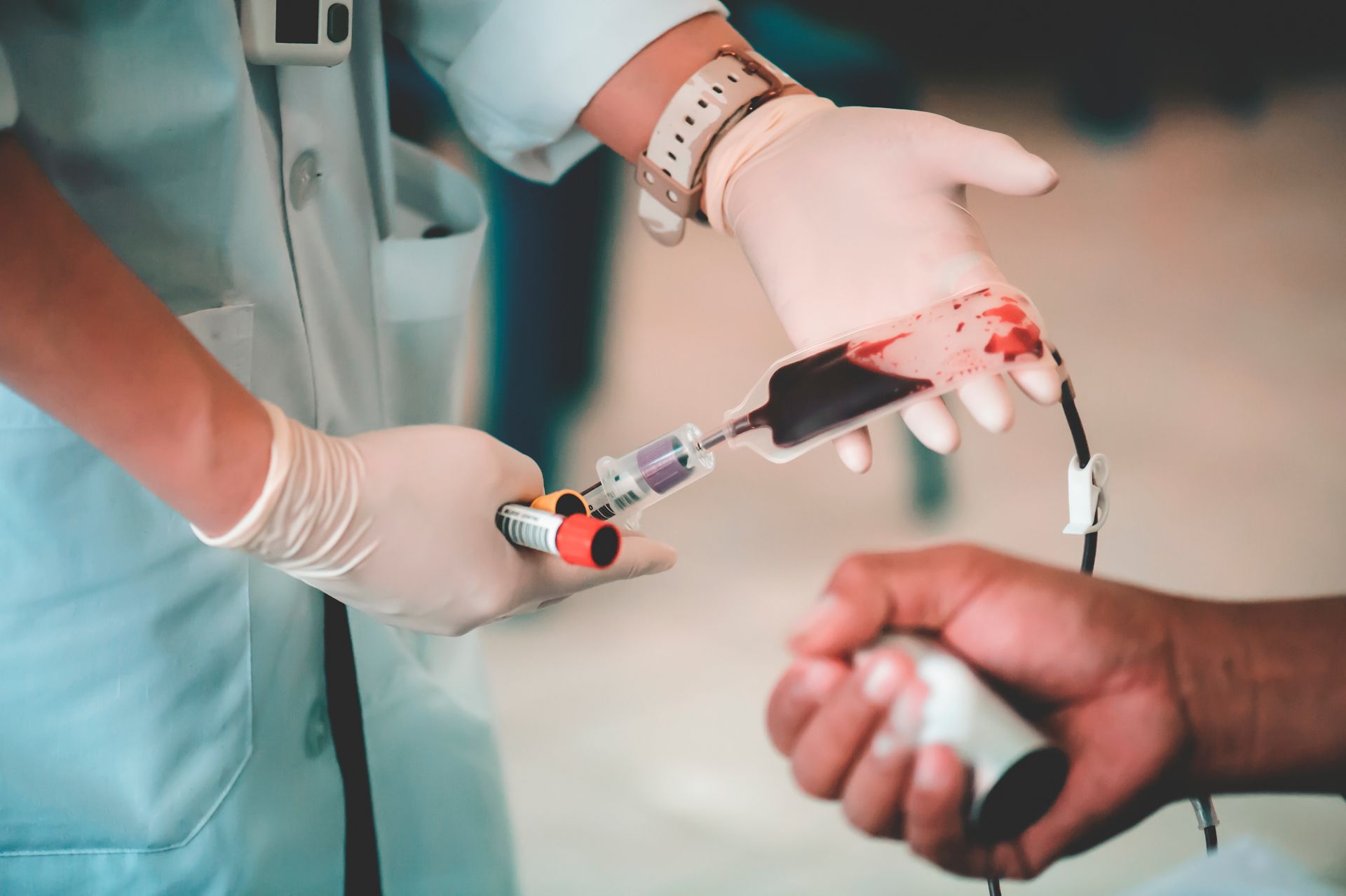 A healthcare worker wearing gloves holds a blood collection bag and tube near a donor's hand. A healthcare worker wearing gloves holds a blood collection bag and tube near a donor's hand.