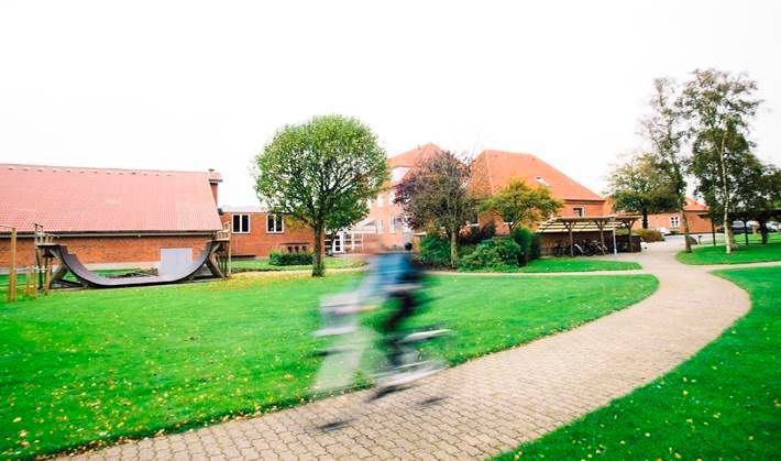 Fem personer kigger ud over en bjergkæde på en solskinsdag.