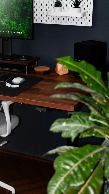 Dark desk setup with monitor, keyboard, mouse, speakers, and a leafy plant in the foreground.