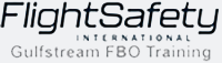 Flight Safety Logo