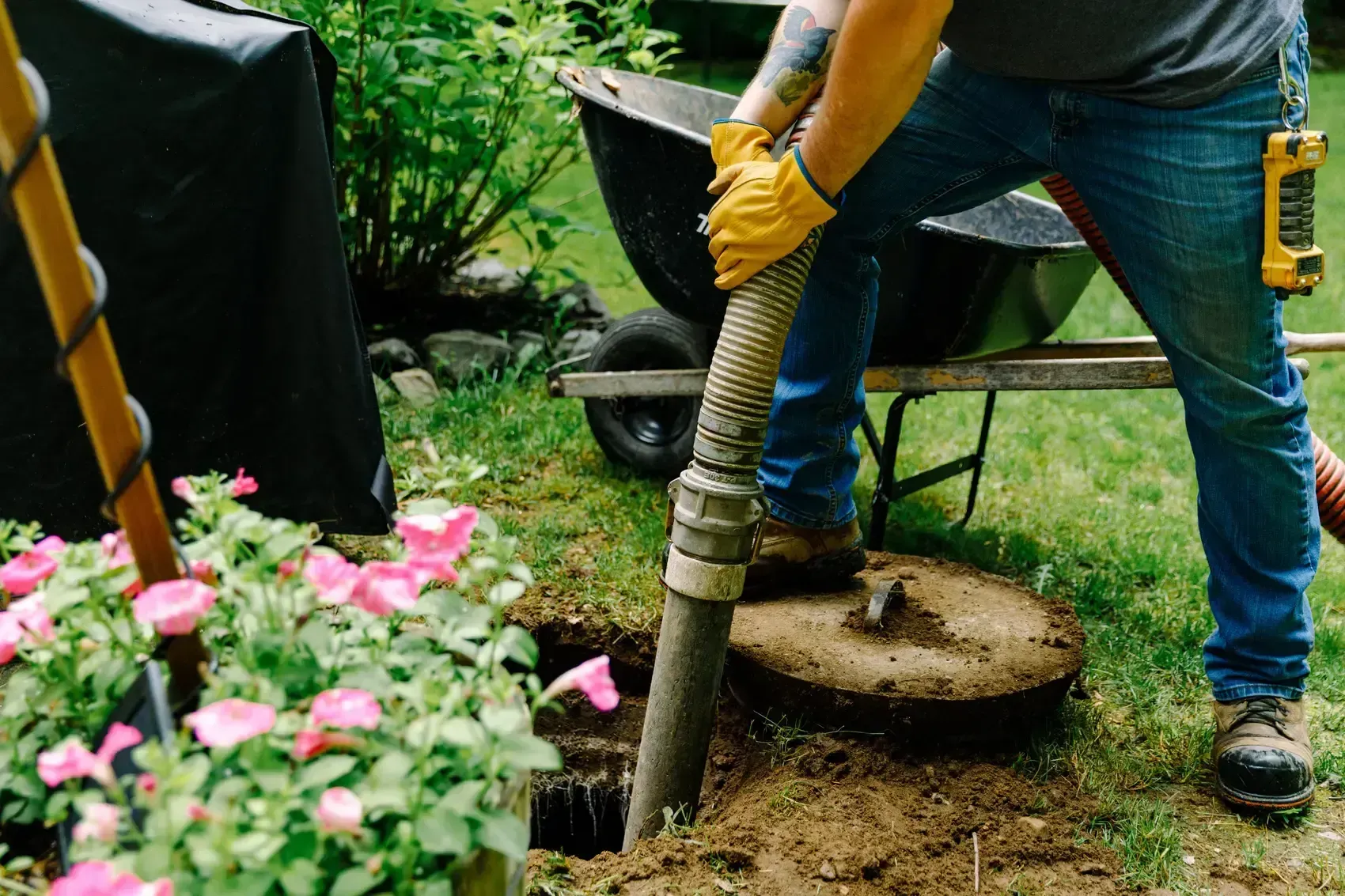 Man pumping out septic tank with hose, wheelbarrow nearby in a yard with flowers.