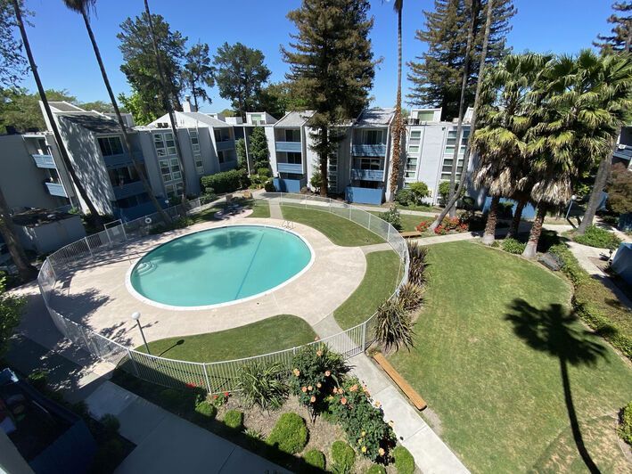 An aerial view of a swimming pool surrounded by palm trees