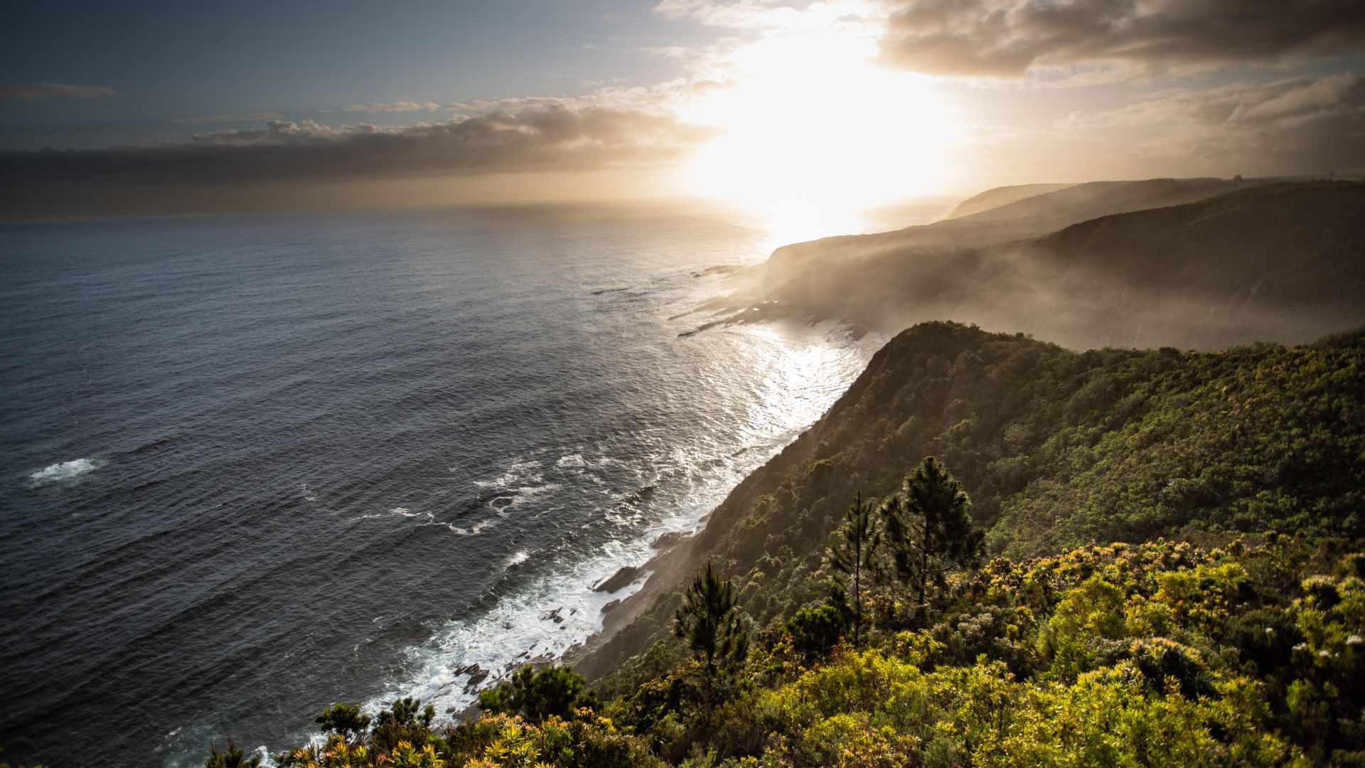 DIARY SOUTH AFRICA