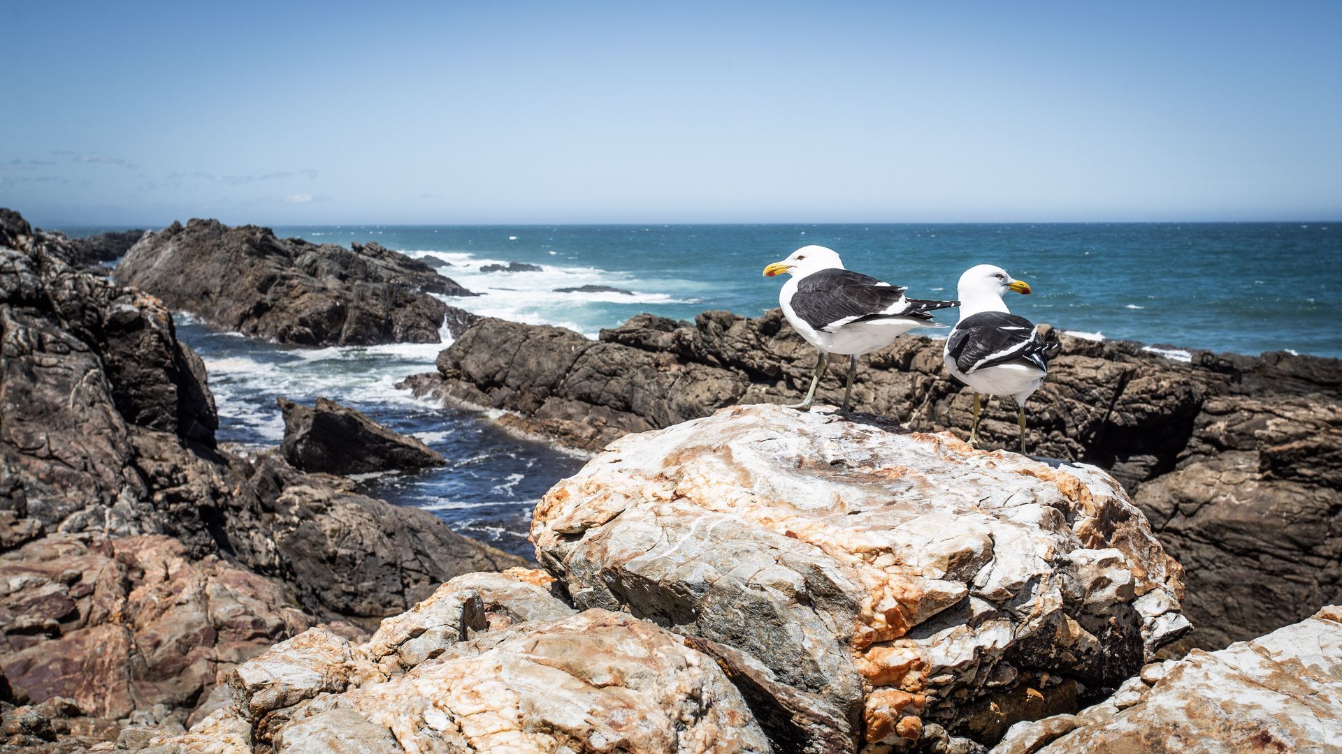 SOUTH AFRICA