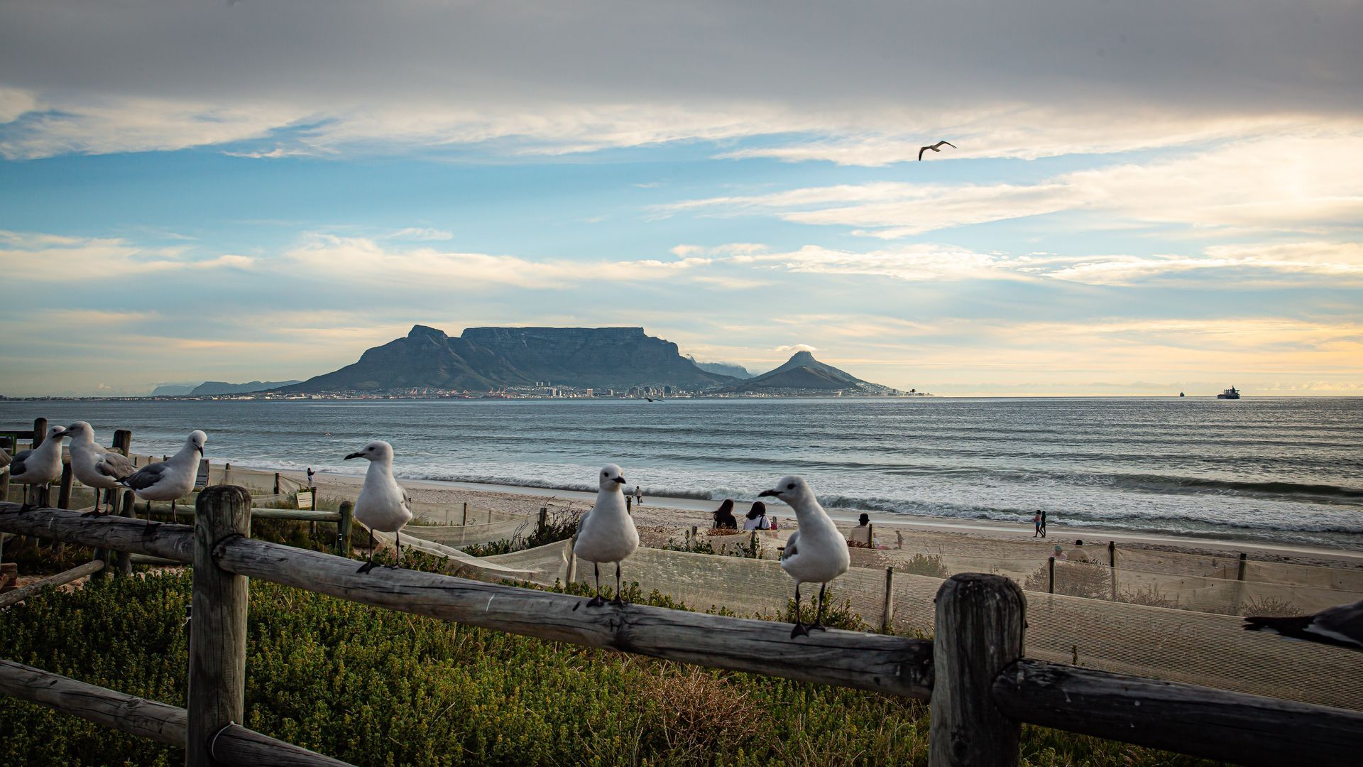 DIARY SOUTH AFRICA