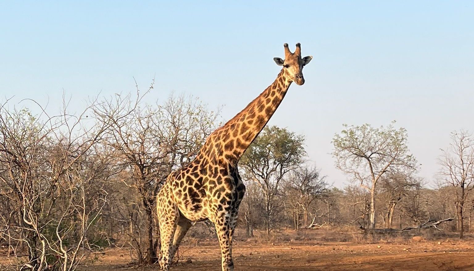 DIARY SOUTH AFRICA