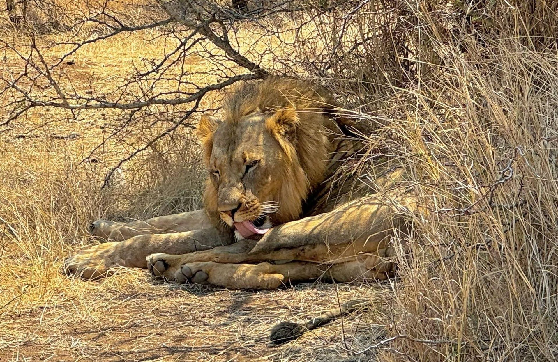 DIARY SOUTH AFRICA