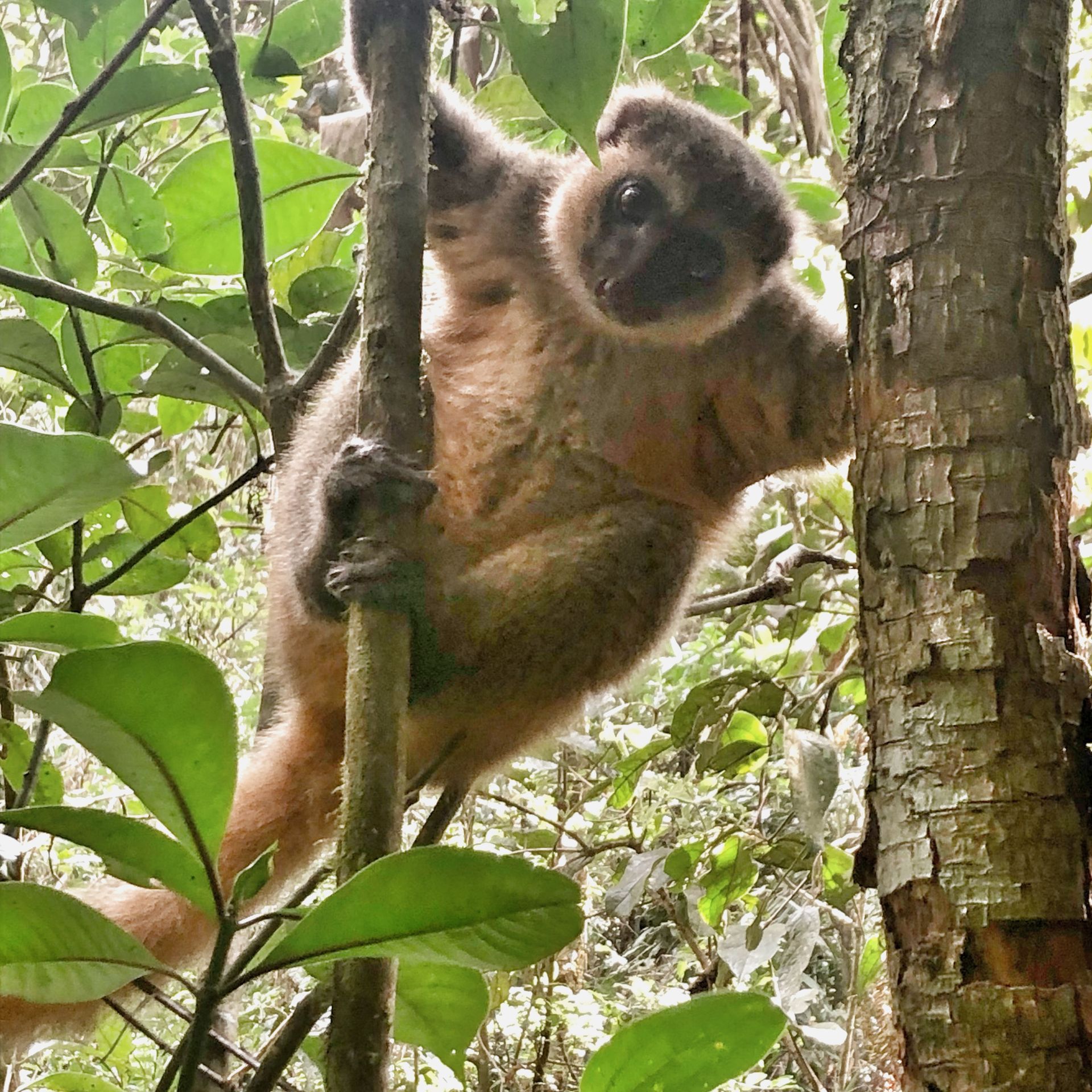 MADAGASKAR