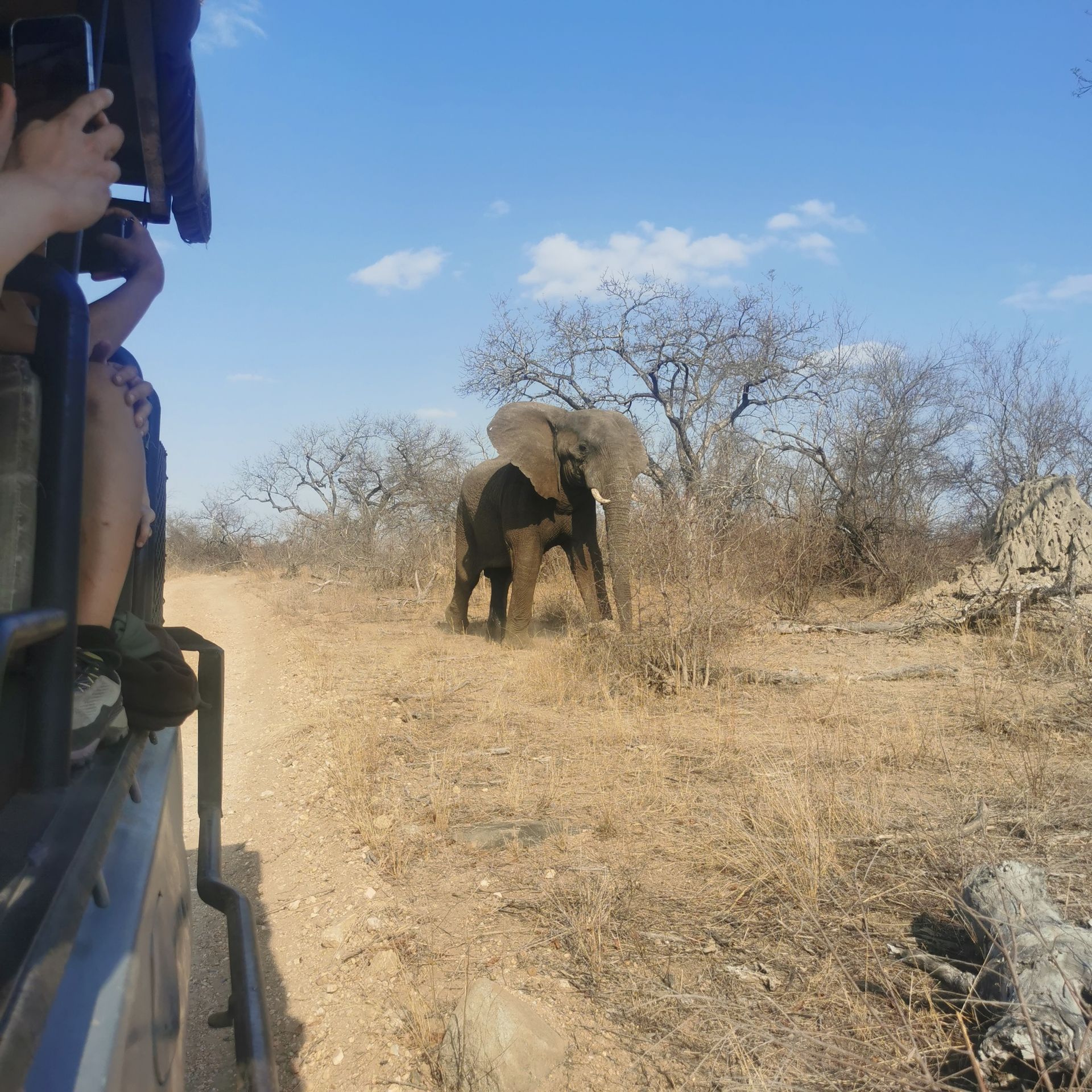 DIARY SOUTH AFRICA