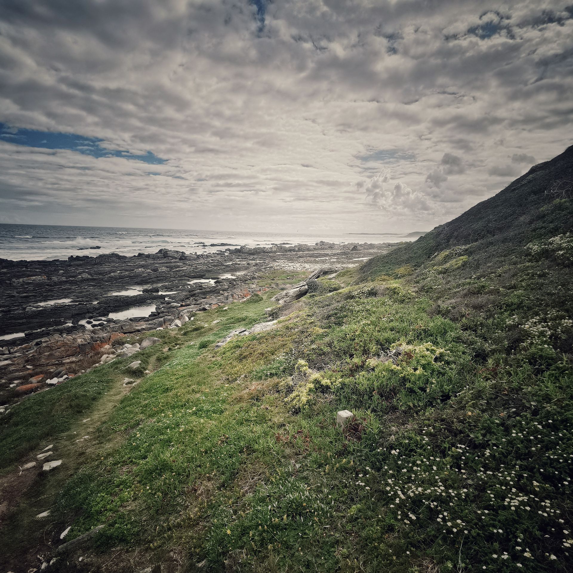 DIARY SOUTH AFRICA