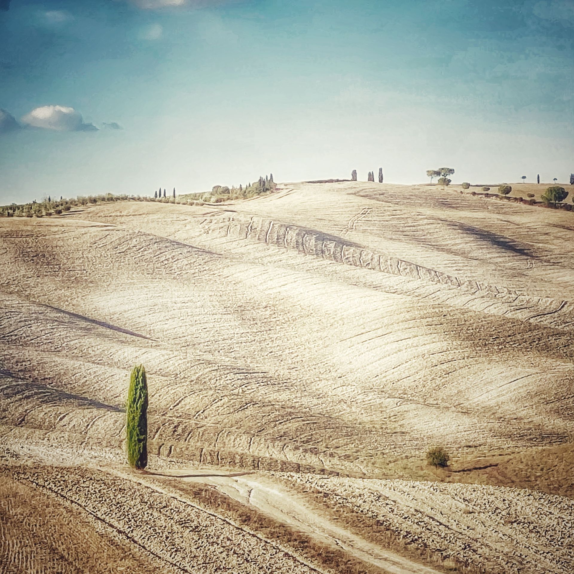 TUSCANY