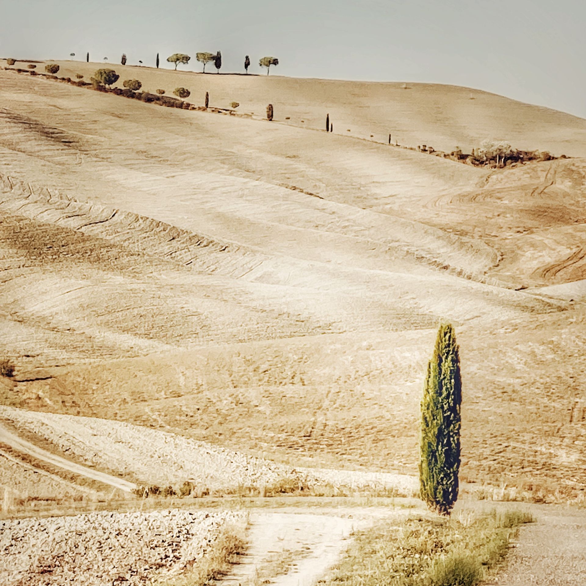 TUSCANY