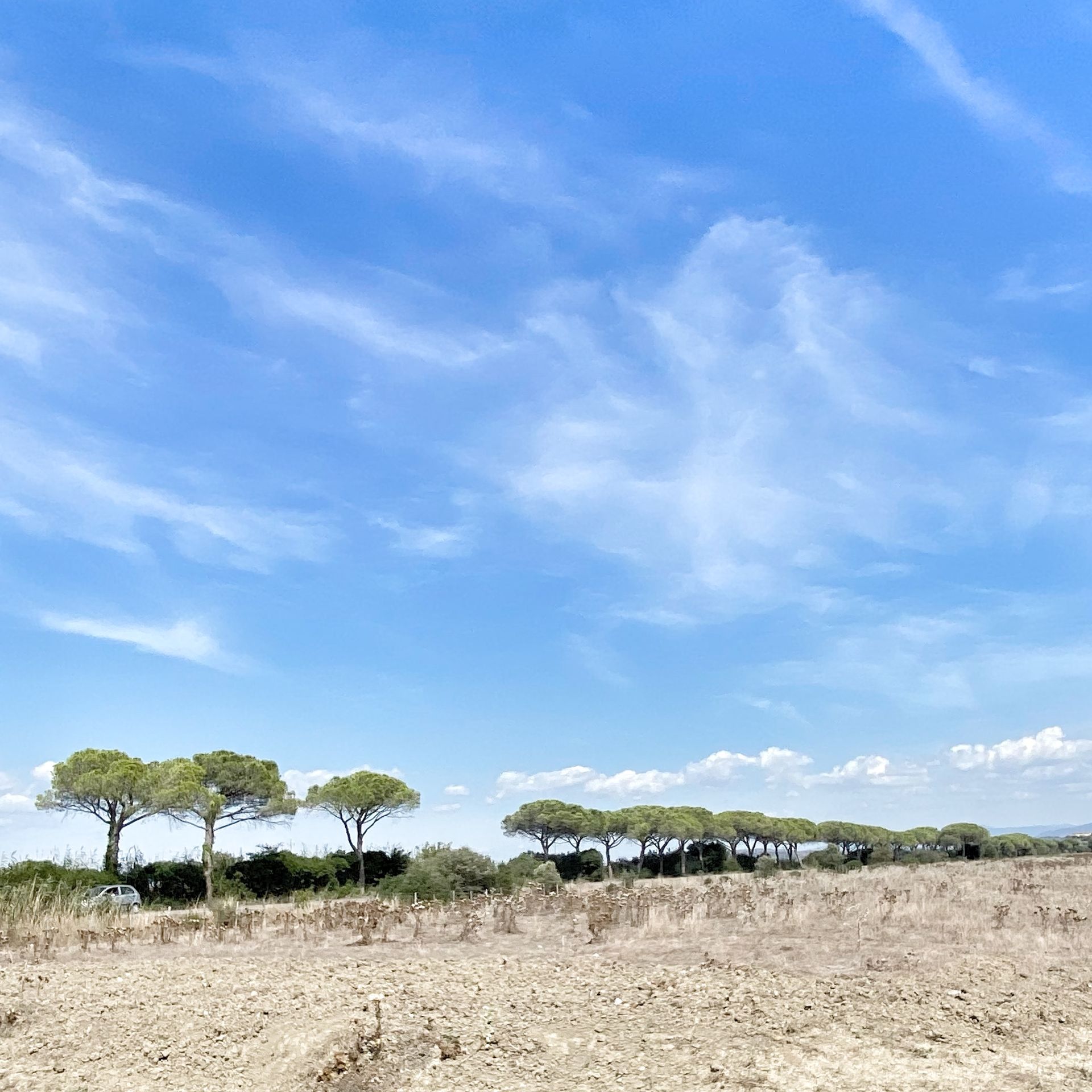 TUSCANY