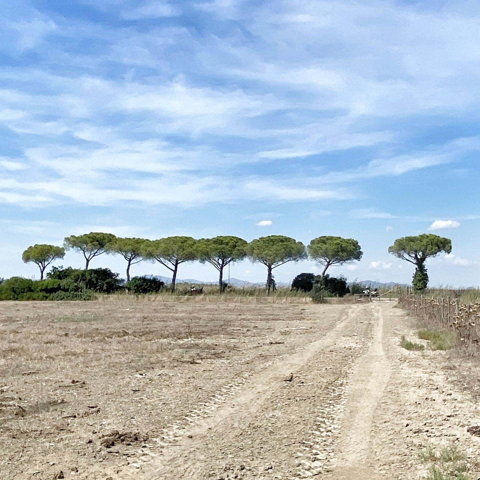 TUSCANY