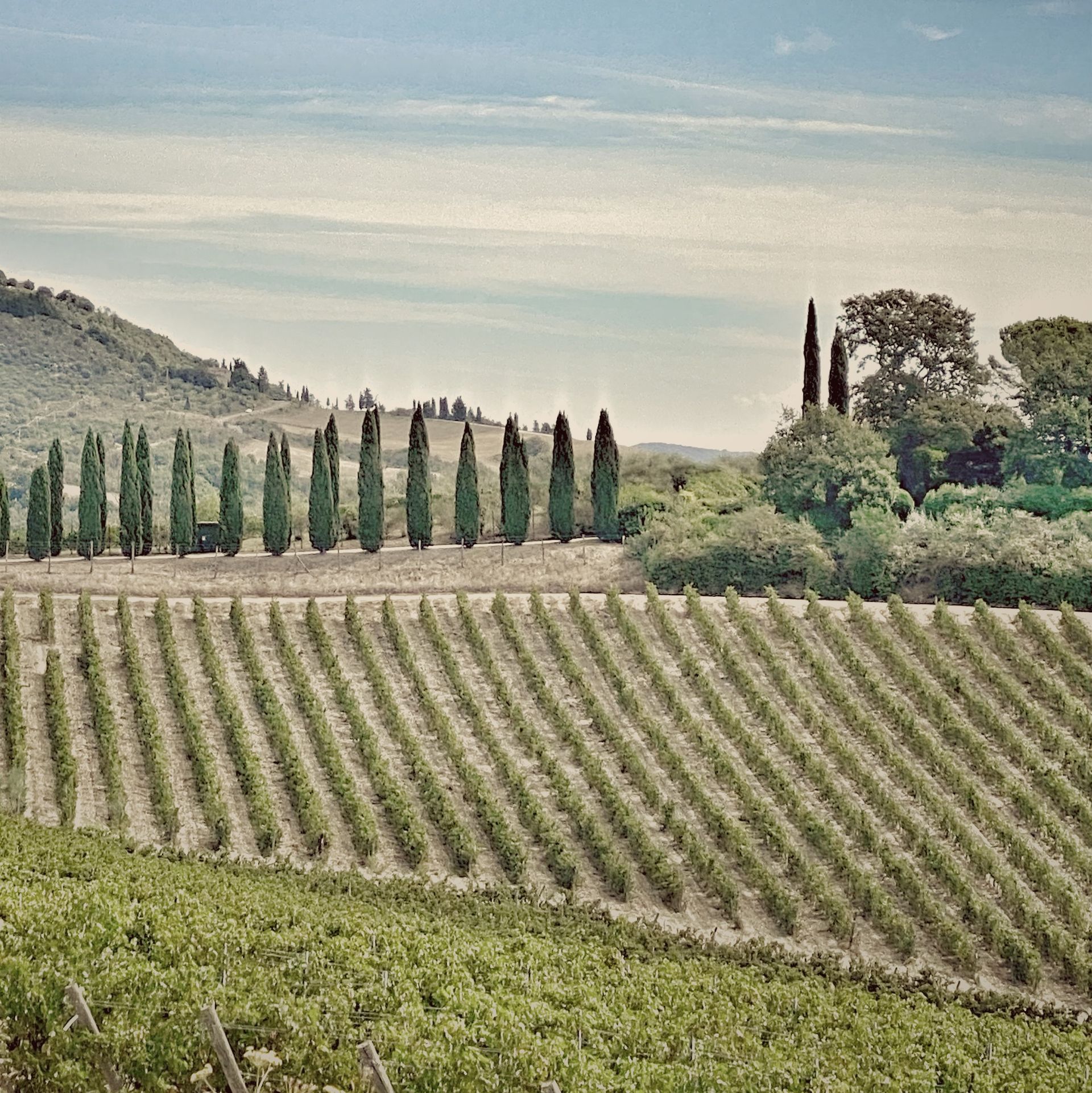 TUSCANY