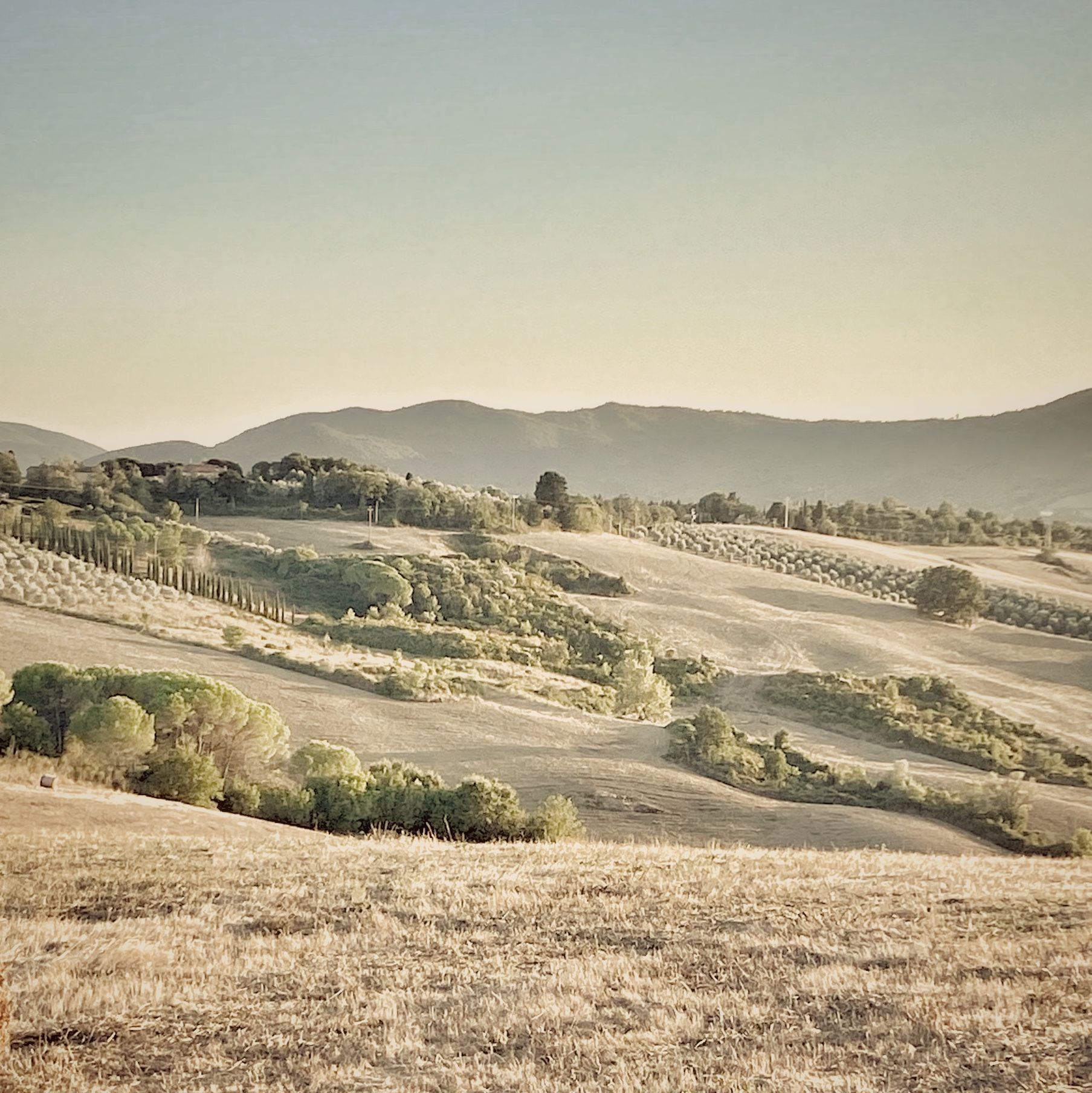 TUSCANY