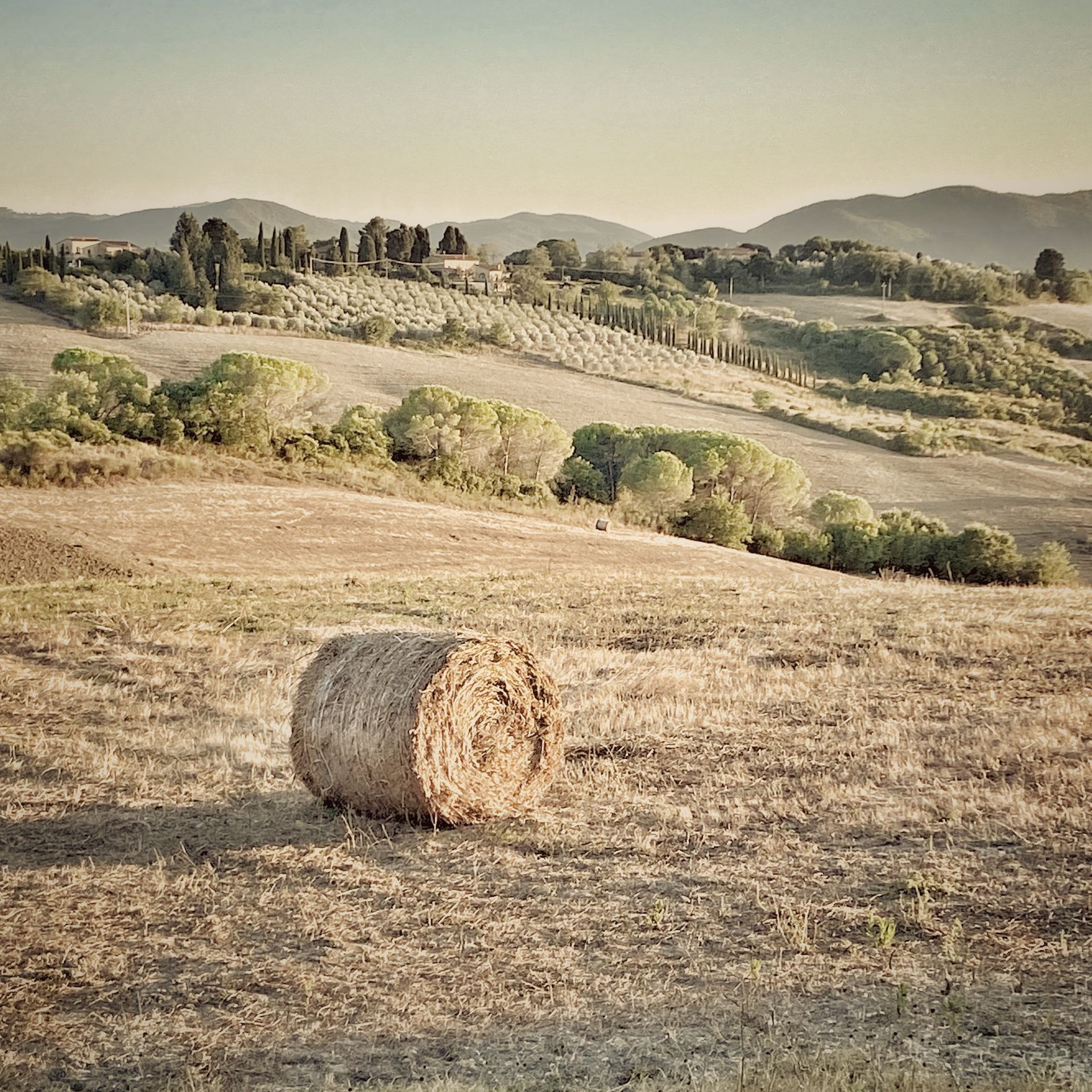 TUSCANY