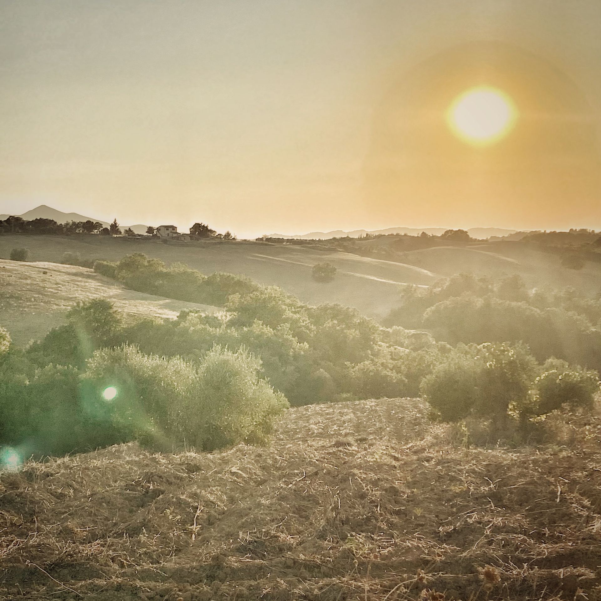 TUSCANY