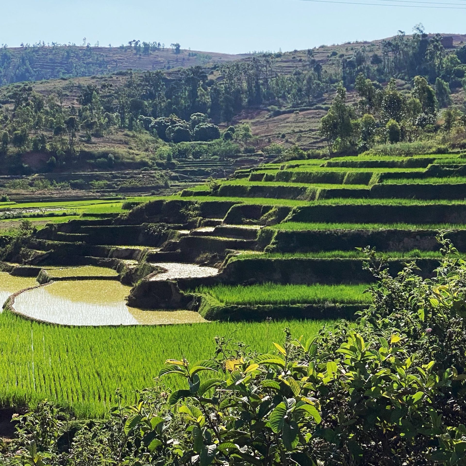 MADAGASCAR