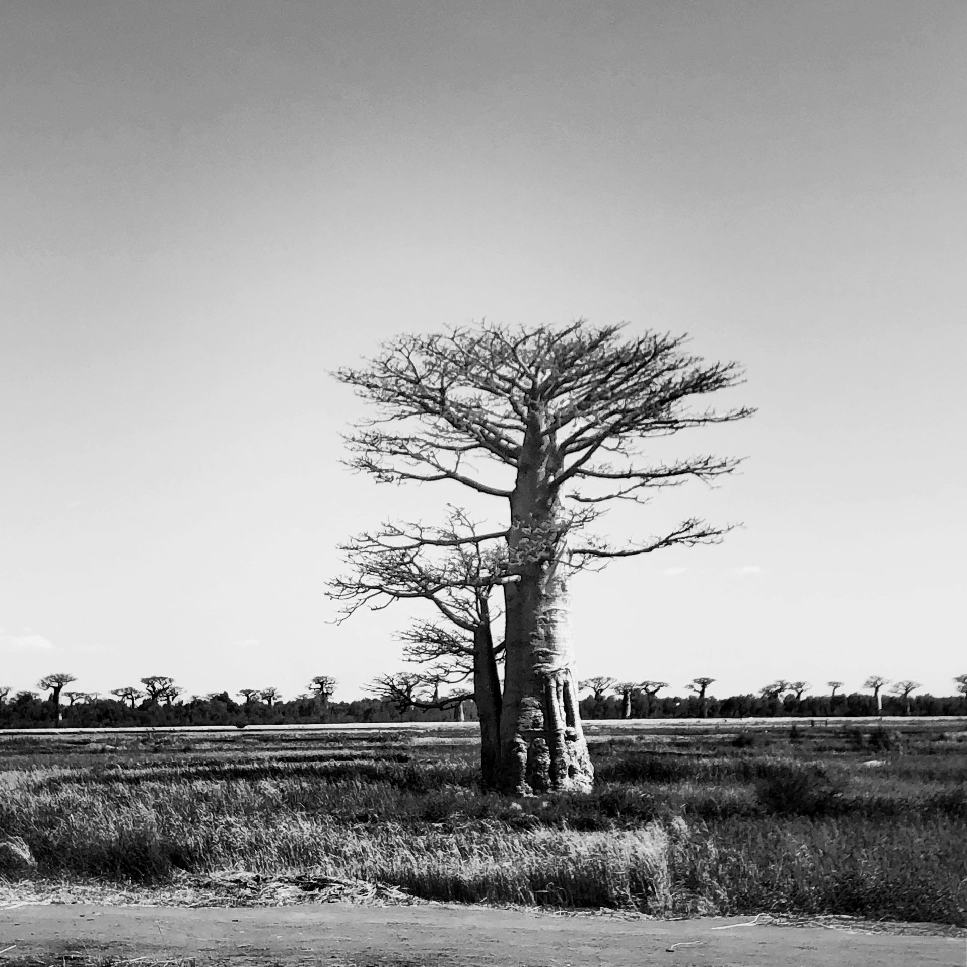 MADAGASKAR