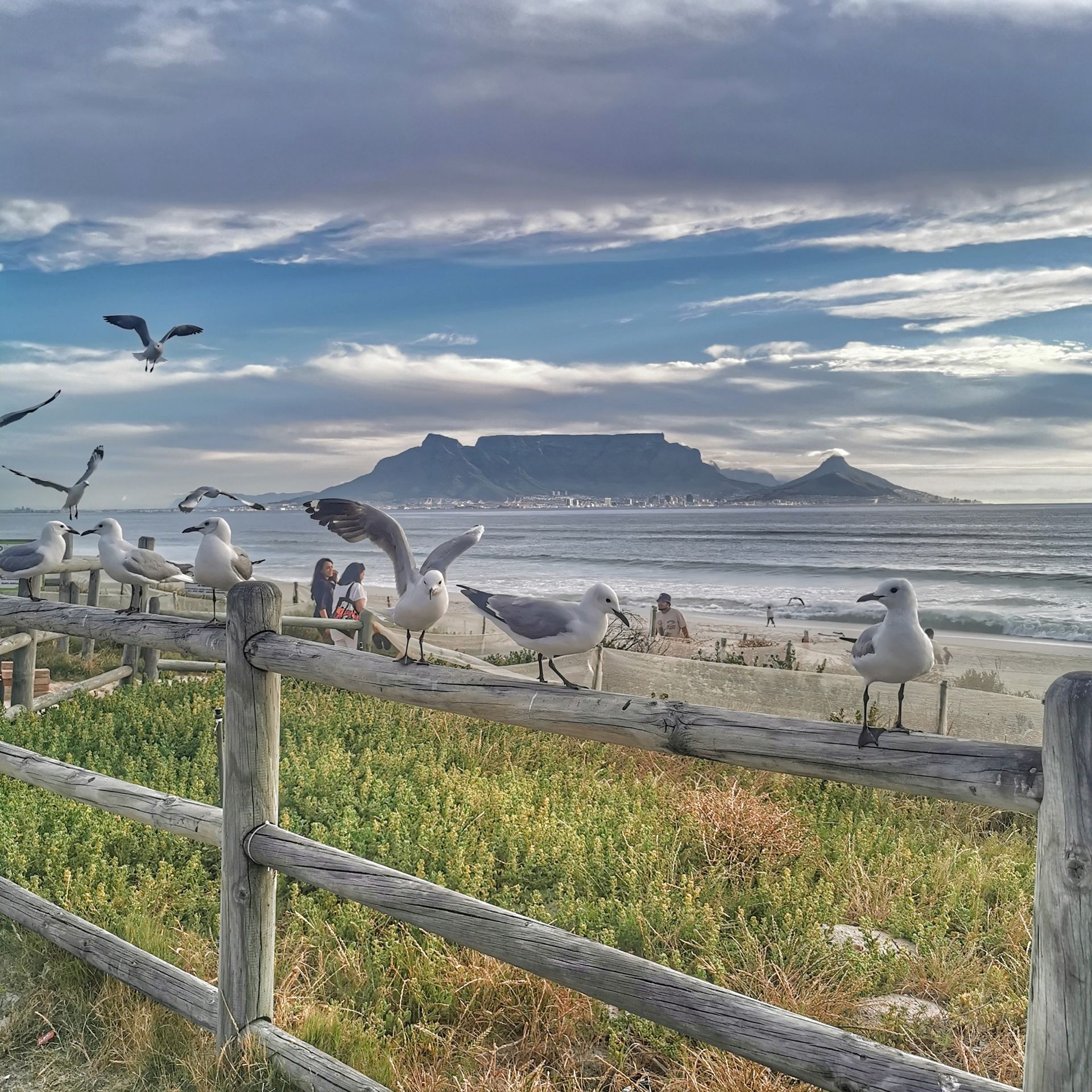 DIARY SOUTH AFRICA