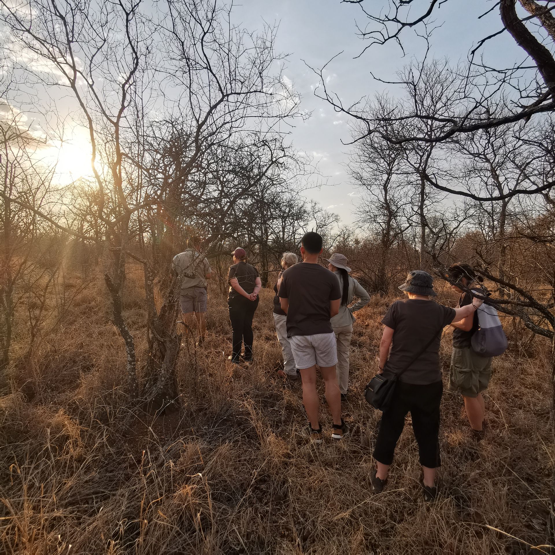 DIARY SOUTH AFRICA