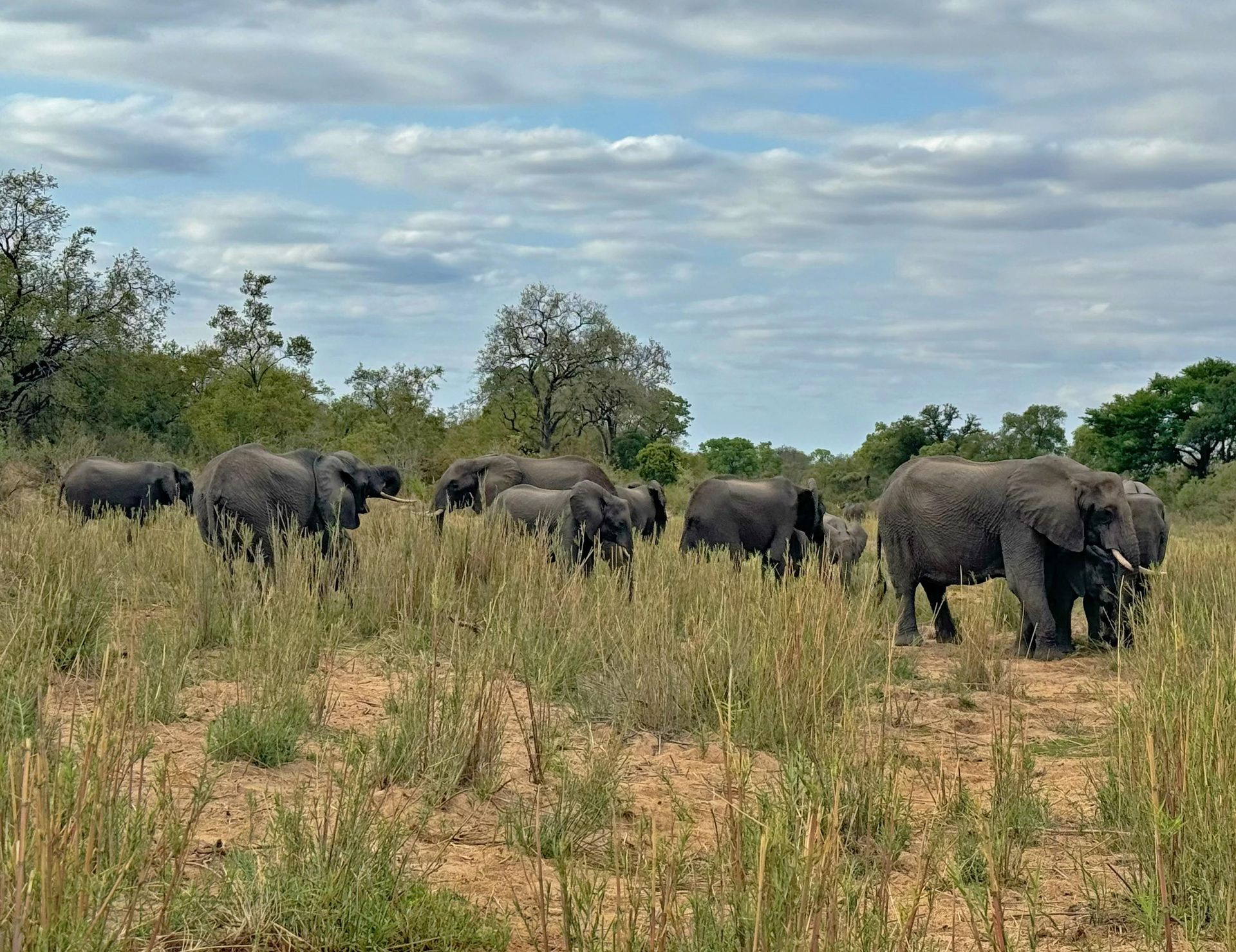 DIARY SOUTH AFRICA
