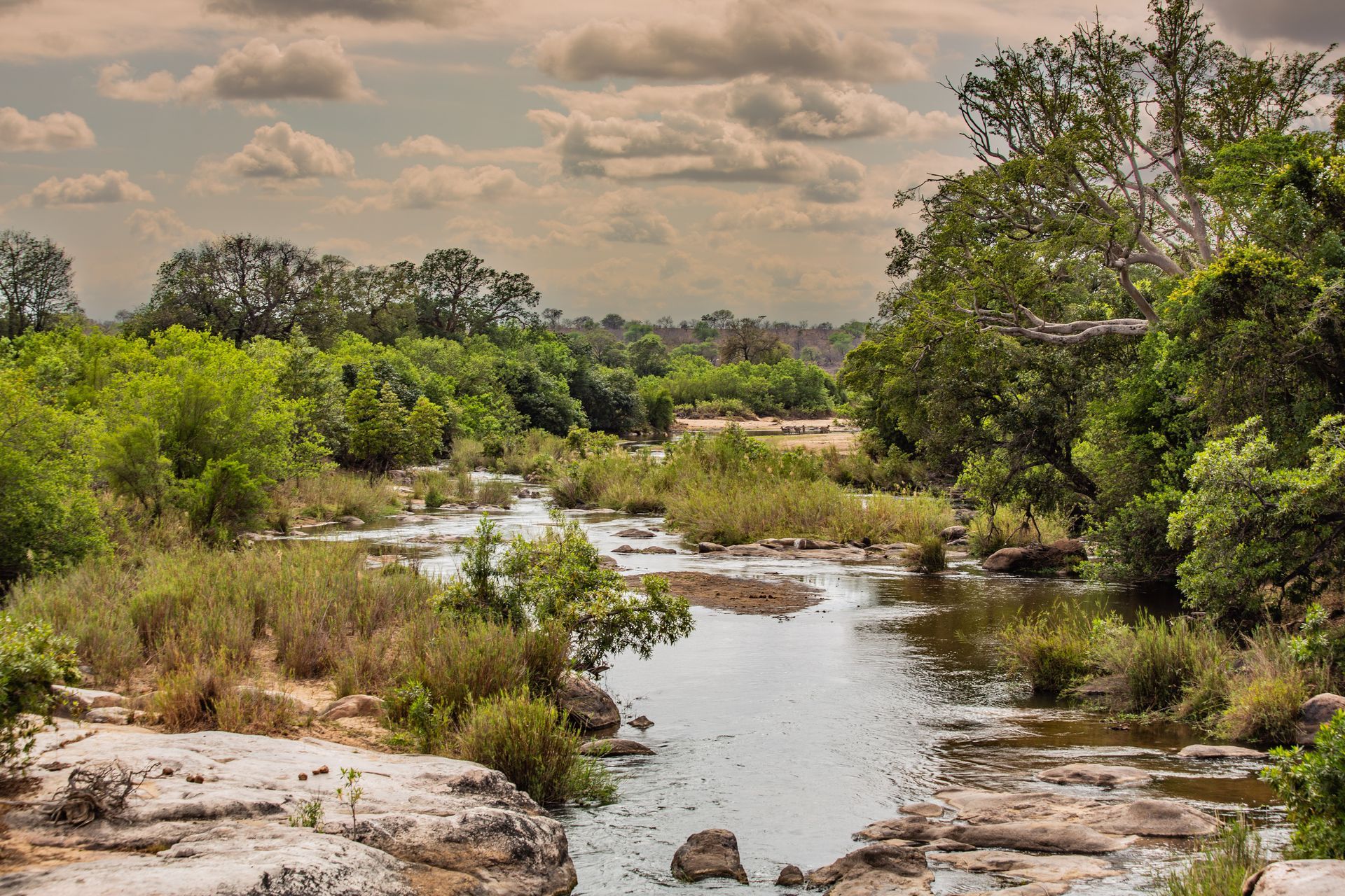 DIARY SOUTH AFRICA