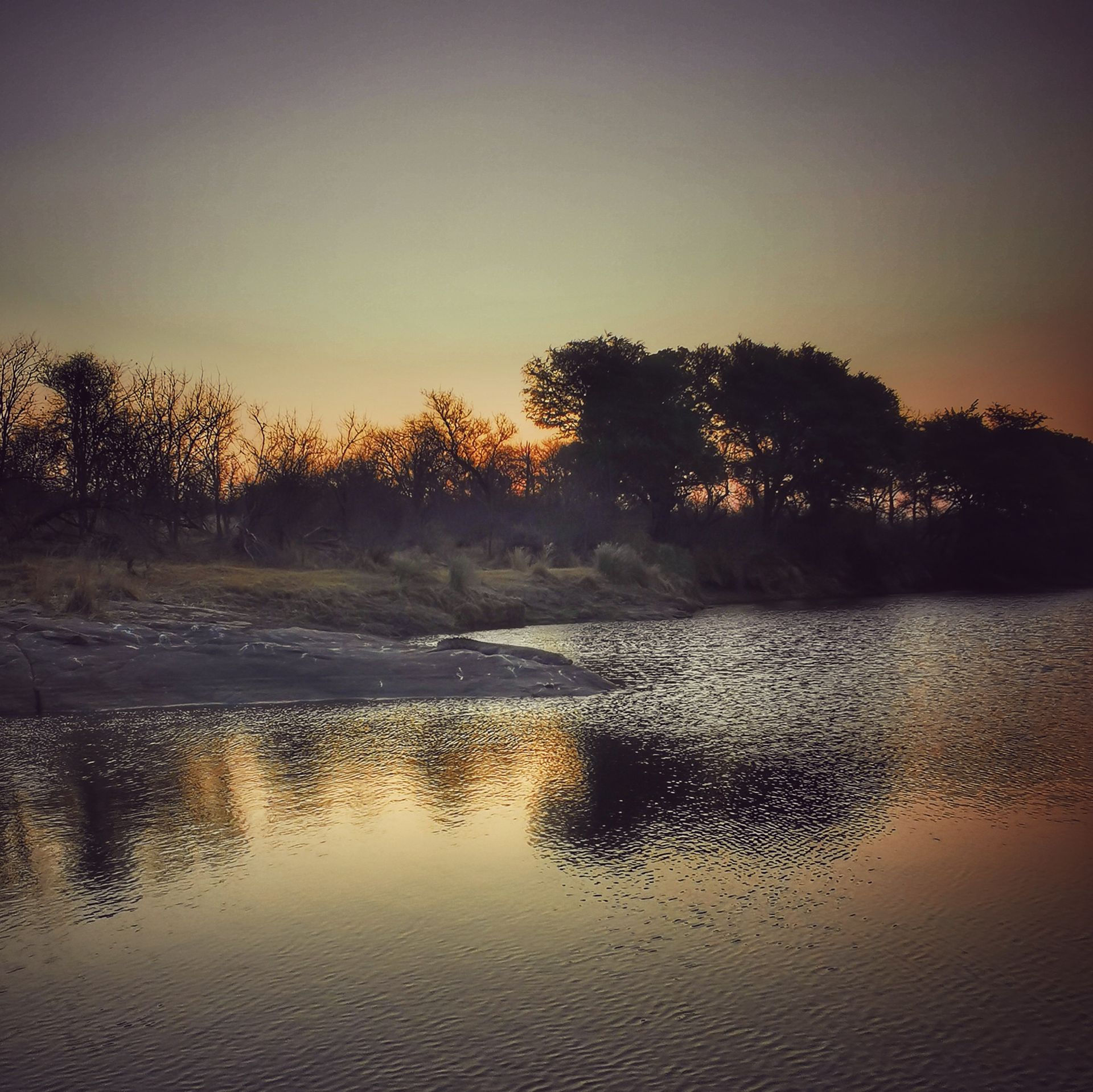 DIARY SOUTH AFRICA