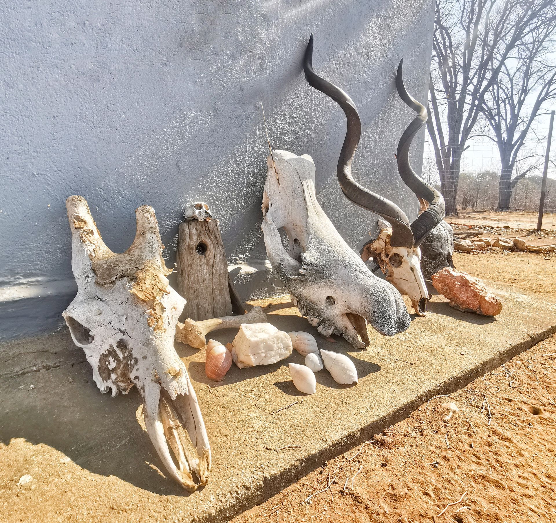 DIARY SOUTH AFRICA