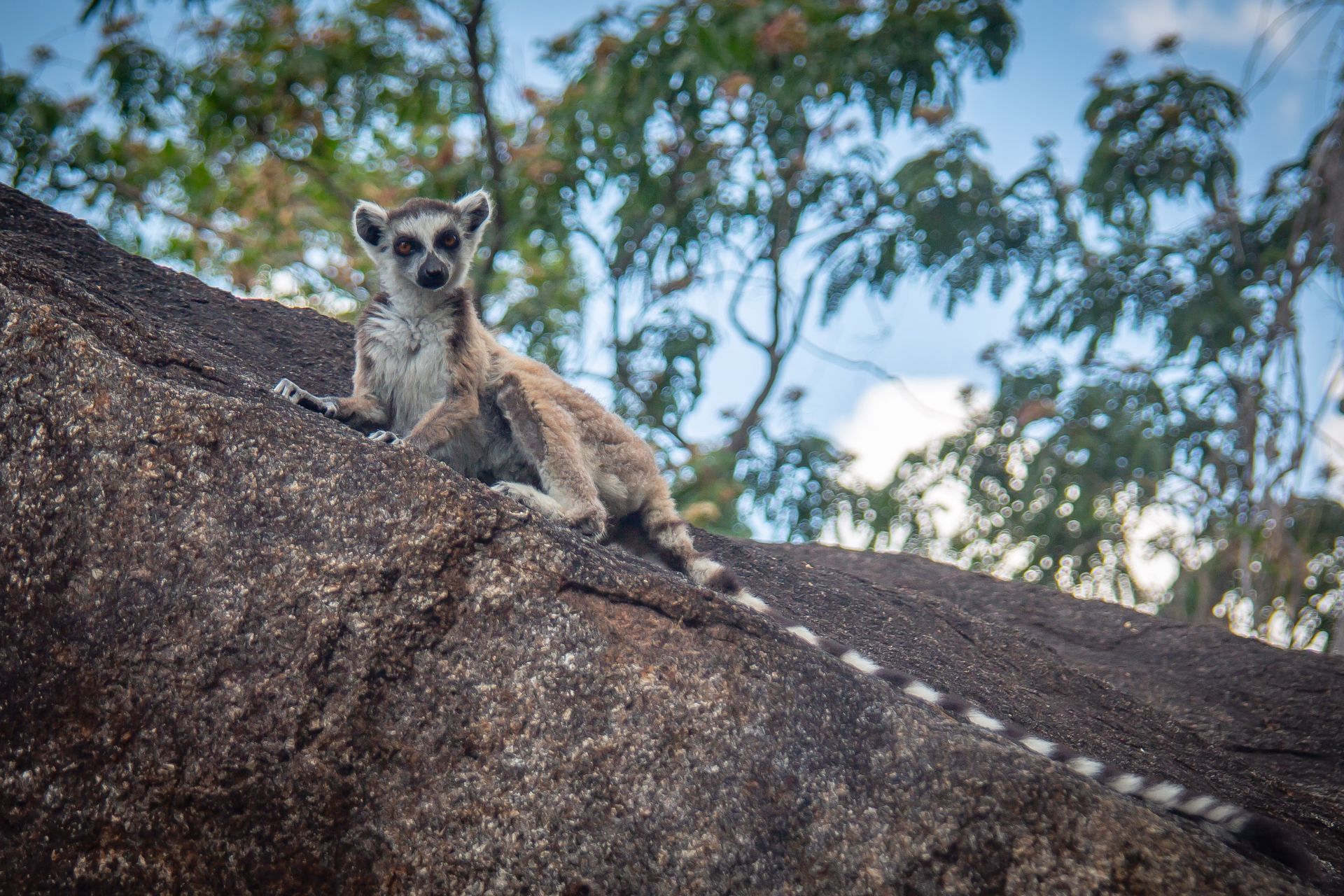 DIARY MADAGASKAR